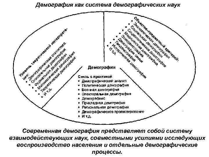 Демография как система демографических наук Современная демография представляет собой систему взаимодействующих наук, совместными усилиями