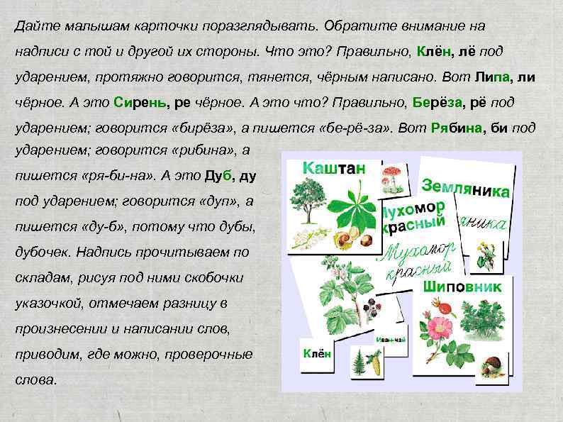 Дайте малышам карточки поразглядывать. Обратите внимание на надписи с той и другой их стороны.