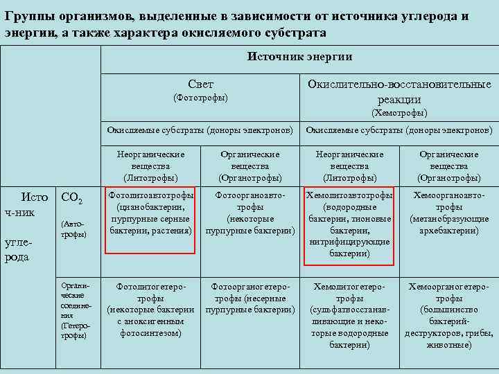Группы организмов, выделенные в зависимости от источника углерода и энергии, а также характера окисляемого