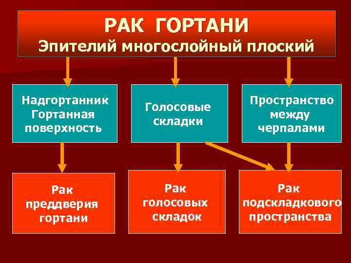 РАК ГОРТАНИ Эпителий многослойный плоский Надгортанник Гортанная поверхность Голосовые складки Пространство между черпалами Рак