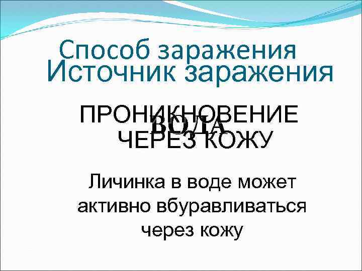 Способ заражения Источник заражения ПРОНИКНОВЕНИЕ ВОДА ЧЕРЕЗ КОЖУ Личинка в воде может активно вбуравливаться