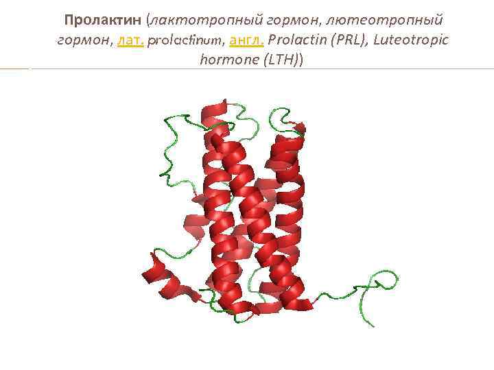 Пролактин (лактотропный гормон, лютеотропный гормон, лат. prolactinum, англ. Prolactin (PRL), Luteotropic hormone (LTH)) 