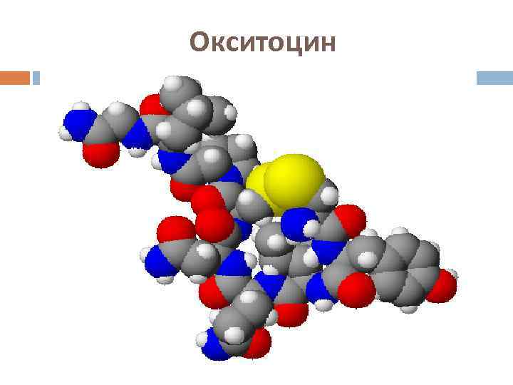 Презентация гормон окситоцин