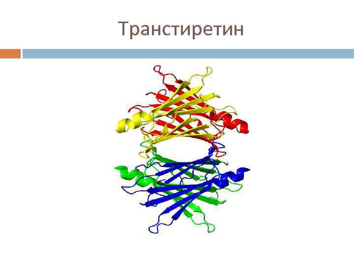 Транстиретин 