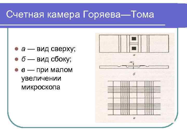 Рисунок камера горяева