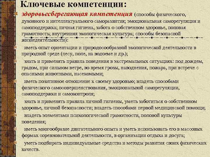 Ключевые компетенции: здоровьесберегающая компетенция (способы физического, духовного и интеллектуального саморазвития; эмоциональная саморегуляция и самоподдержка;