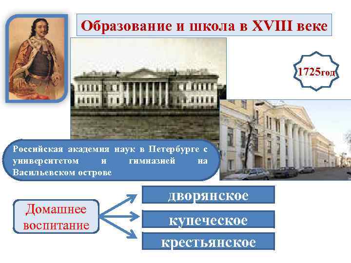 Образование и школа в XVIII веке 1725 год Российская академия наук в Петербурге с