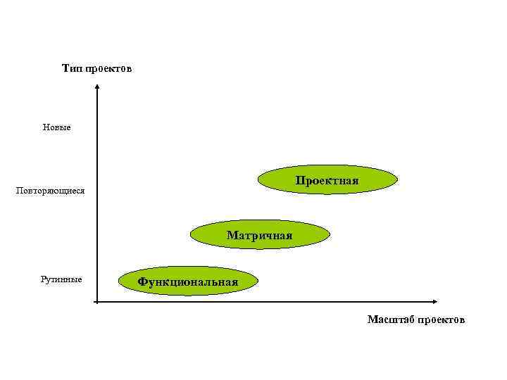 Тип проектов Новые Проектная Повторяющиеся Матричная Рутинные Функциональная Масштаб проектов 