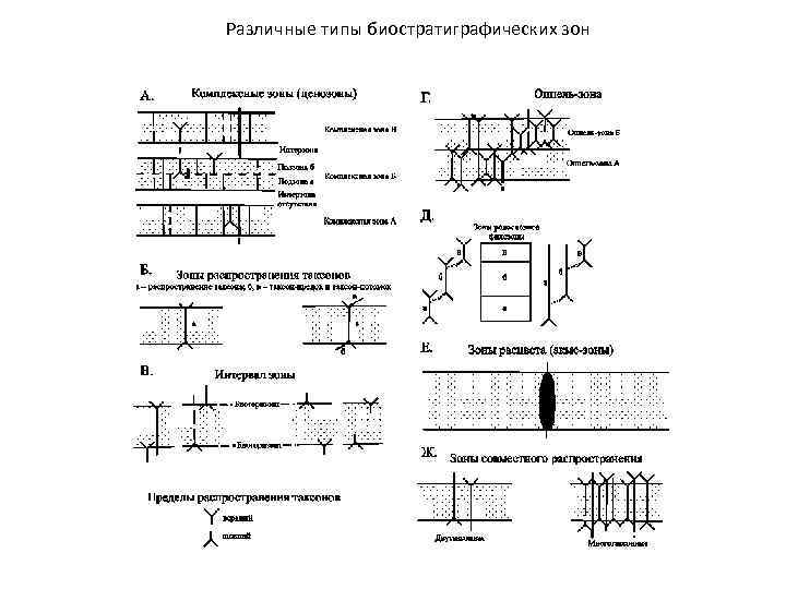 Различные типы биостратиграфических зон 