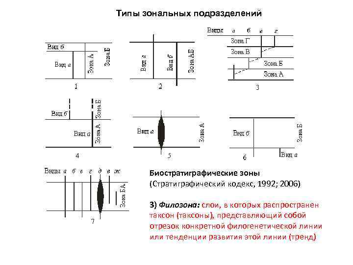 Типы зональных подразделений Биостратиграфические зоны (Стратиграфический кодекс, 1992; 2006) 3) Филозона: слои, в которых