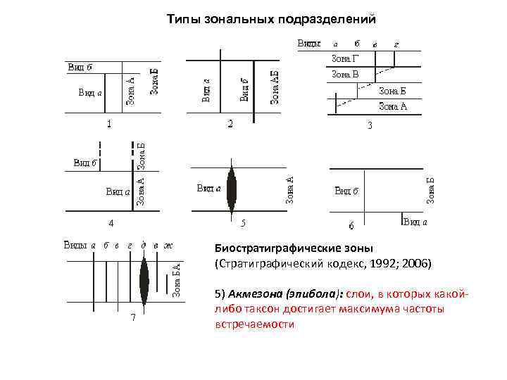 Типы зональных подразделений Биостратиграфические зоны (Стратиграфический кодекс, 1992; 2006) 5) Акмезона (эпибола): слои, в