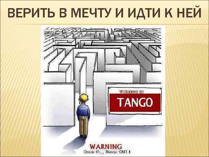 ВЕРИТЬ В МЕЧТУ И ИДТИ К НЕЙ 