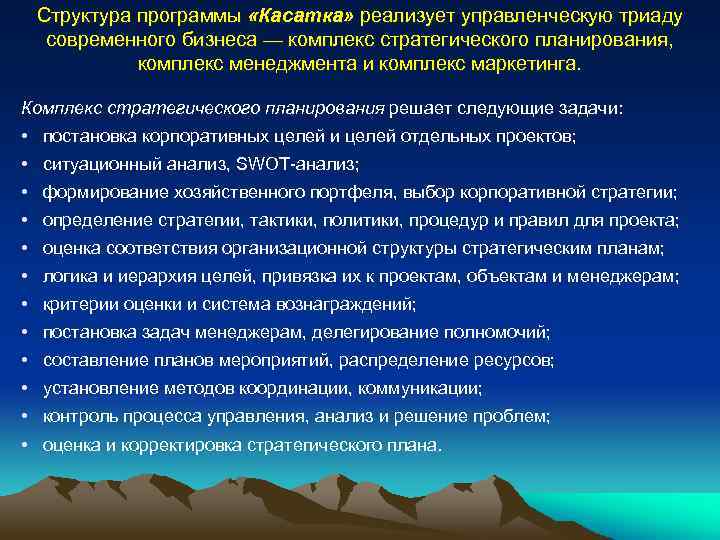 Структура программы «Касатка» реализует управленческую триаду современного бизнеса — комплекс стратегического планирования, комплекс менеджмента