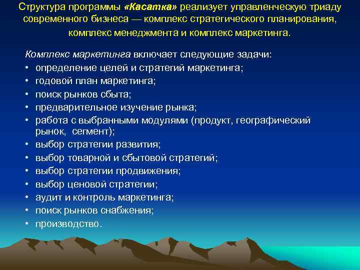 Структура программы «Касатка» реализует управленческую триаду современного бизнеса — комплекс стратегического планирования, комплекс менеджмента