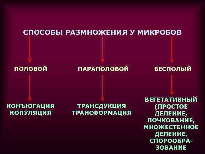 СПОСОБЫ РАЗМНОЖЕНИЯ У МИКРОБОВ ПОЛОВОЙ КОНЪЮГАЦИЯ КОПУЛЯЦИЯ ПАРАПОЛОВОЙ ТРАНСДУКЦИЯ ТРАНСФОРМАЦИЯ БЕСПОЛЫЙ ВЕГЕТАТИВНЫЙ (ПРОСТОЕ ДЕЛЕНИЕ,