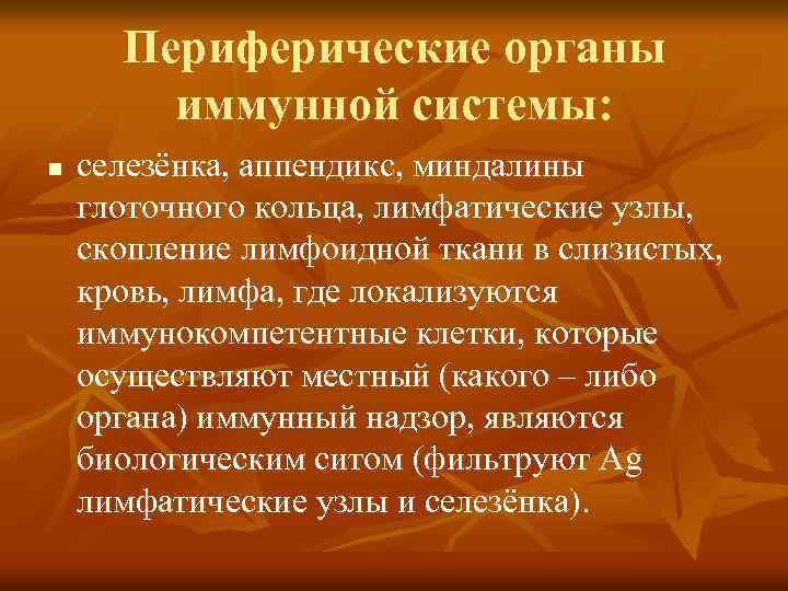 Периферические органы иммунной системы: n селезёнка, аппендикс, миндалины глоточного кольца, лимфатические узлы, скопление лимфоидной
