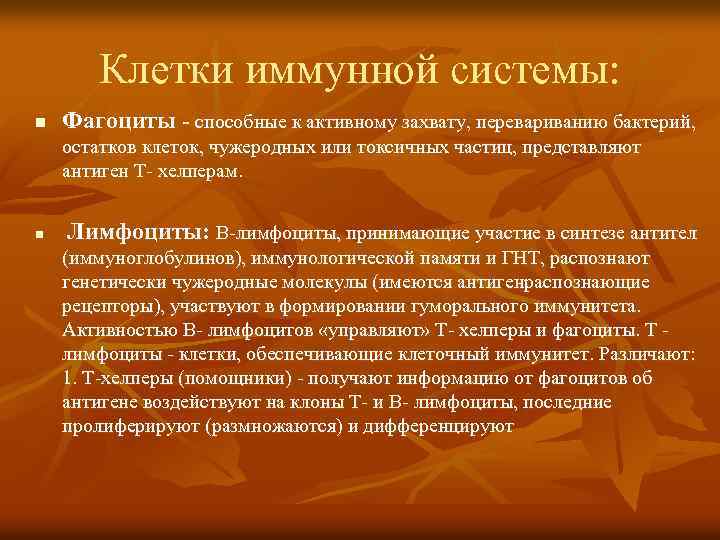 Клетки иммунной системы: n Фагоциты - способные к активному захвату, перевариванию бактерий, остатков клеток,