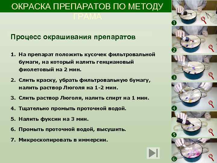 ОКРАСКА ПРЕПАРАТОВ ПО МЕТОДУ ГРАМА Процесс окрашивания препаратов 1. На препарат положить кусочек фильтровальной