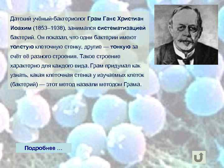 Датский учёный-бактериолог Грам Ганс Христиан Иоахим (1853– 1938), занимался систематизацией бактерий. Он показал, что