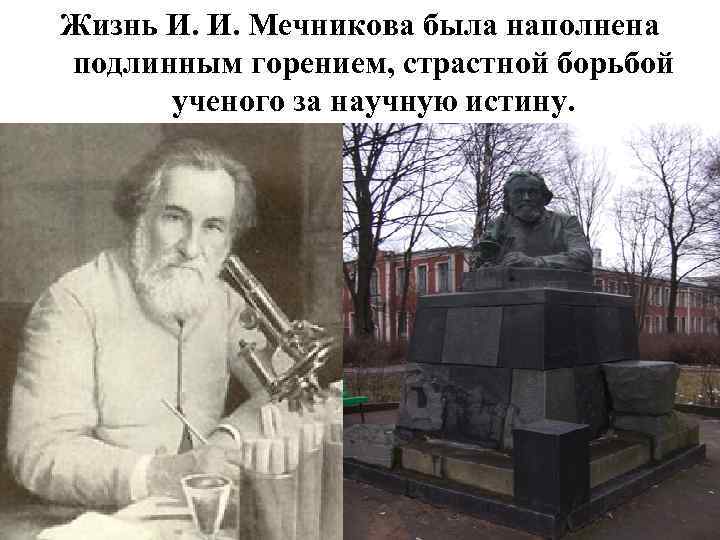 Жизнь И. И. Мечникова была наполнена подлинным горением, страстной борьбой ученого за научную истину.