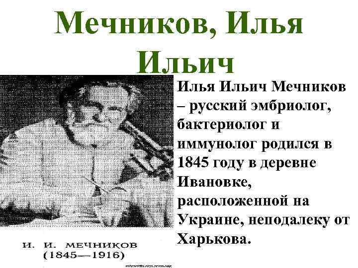 Мечников, Илья Ильич Мечников – русский эмбриолог, бактериолог и иммунолог родился в 1845 году