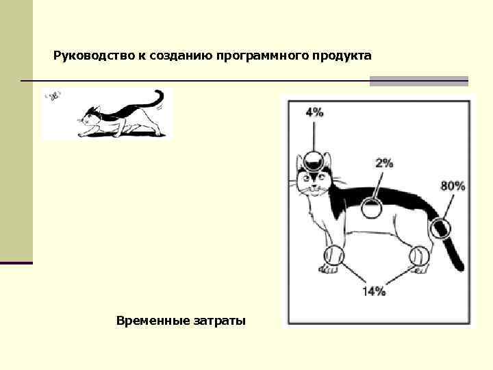 Руководство к созданию программного продукта Временные затраты 