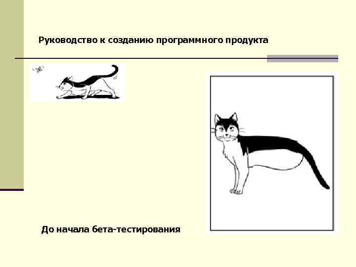 Руководство к созданию программного продукта До начала бета-тестирования 