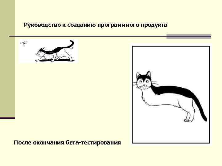 Руководство к созданию программного продукта После окончания бета-тестирования 