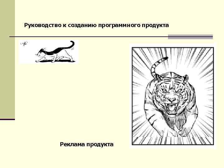 Руководство к созданию программного продукта Реклама продукта 