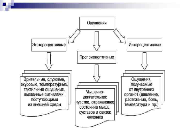 Система ощущений. Экстероцептивные ощущения. Интероцептивные проприоцептивные и экстероцептивные ощущения. Экстероцептивные ощущения примеры. К экстероцептивным ощущениям относят.