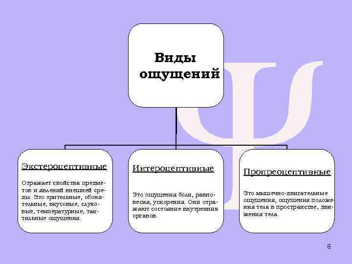 Ощущения отражающие свойства предметов и явлений. Схема виды ощущений. Температурные ощущения в психологии. Ощущения отражающие свойства предметов и явлений внешней среды.