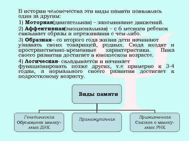 Запоминание сохранение и воспроизведение это