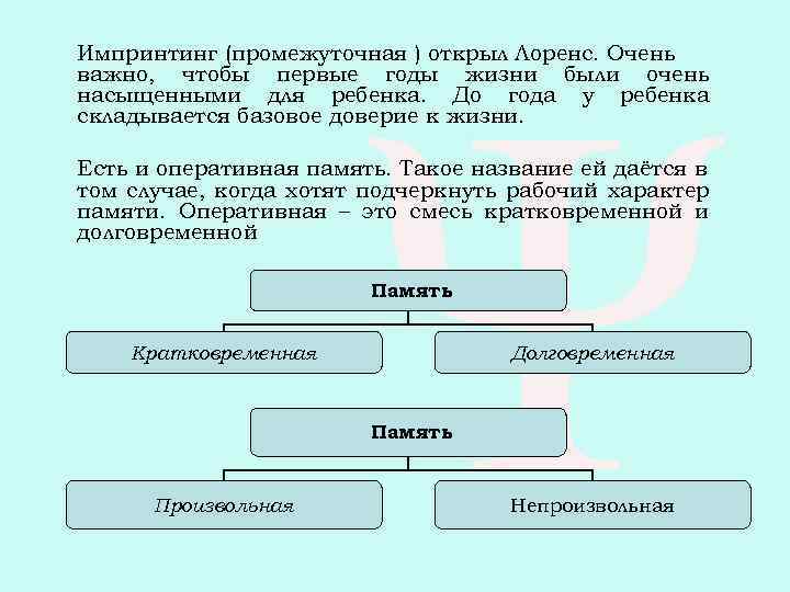 Импринтинг (промежуточная ) открыл Лоренс. Очень важно, чтобы первые годы жизни были очень насыщенными