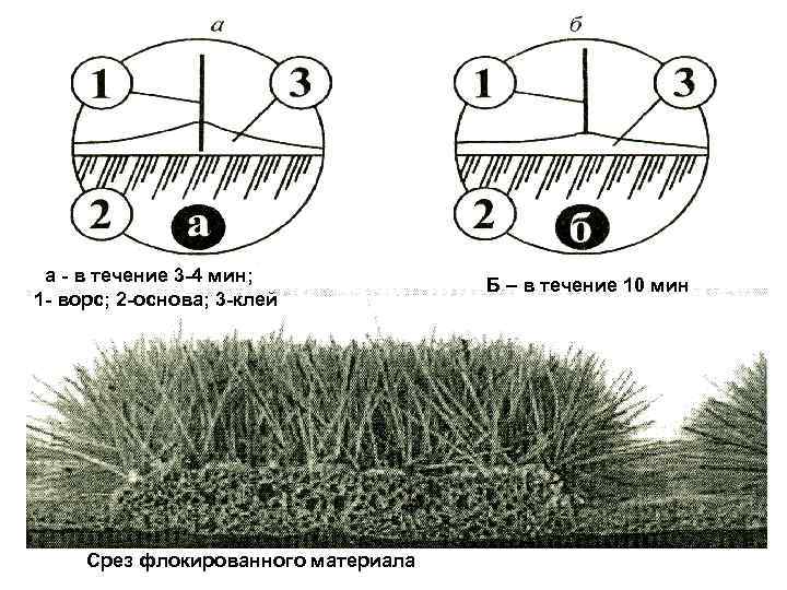  • а - в течение 3 -4 мин; 1 - ворс; 2 -основа;