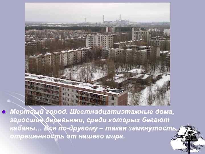 l Мертвый город. Шестнадцатиэтажные дома, заросшие деревьями, среди которых бегают кабаны… Все по-другому –