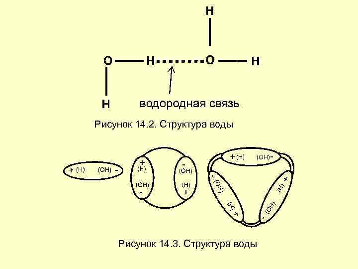 Рисунок 14. 2. Структура воды Рисунок 14. 3. Структура воды 