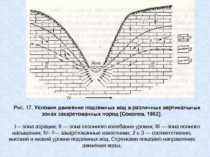 Схема движения подземных вод в зоне насыщения