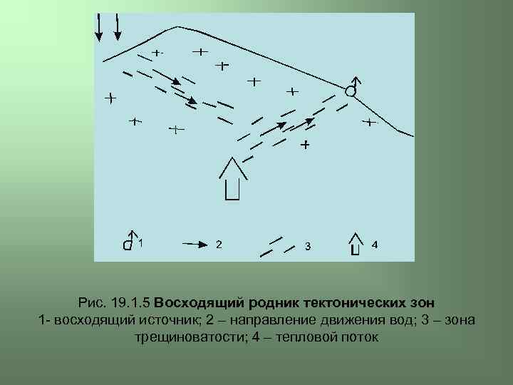 Рис. 19. 1. 5 Восходящий родник тектонических зон 1 - восходящий источник; 2 –