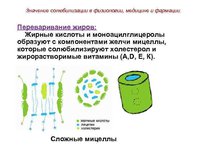 Значение солюбилизации в физиологии, медицине и фармации Переваривание жиров: Жирные кислоты и моноацилглицеролы образуют