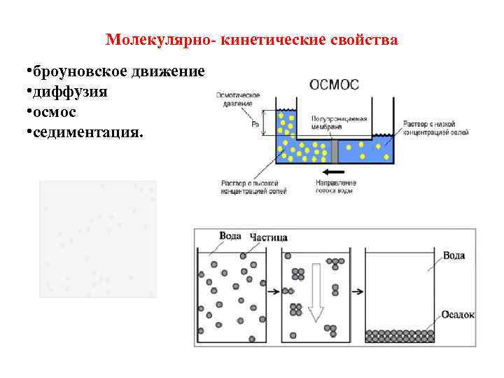 Молекулярно- кинетические свойства • броуновское движение • диффузия • осмос • седиментация. 