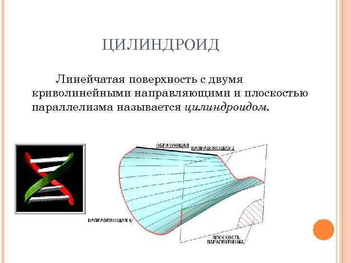 ЦИЛИНДРОИД Линейчатая поверхность с двумя криволинейными направляющими и плоскостью параллелизма называется цилиндроидом. 