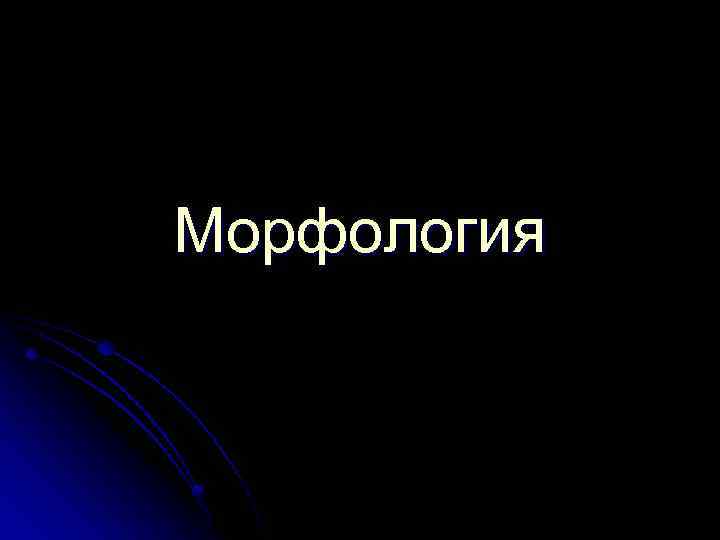 Морфология 