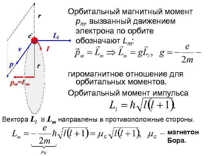 Магнитный момент