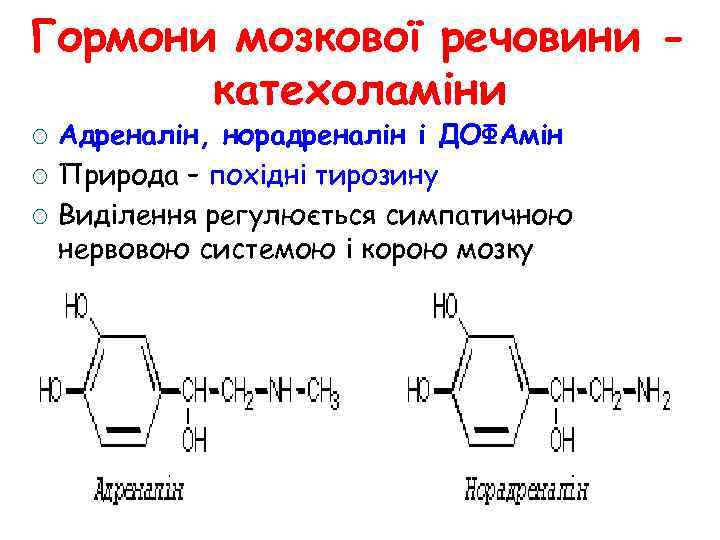 Гормони мозкової речовини катехоламіни ¡ ¡ ¡ Адреналін, норадреналін і ДОФАмін Природа – похідні