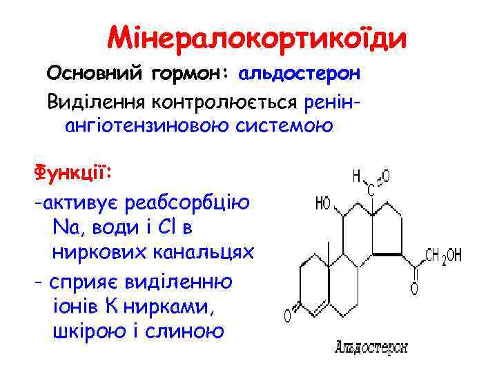 Е2 гормон. Альдостерон.