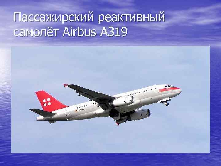 Пассажирский реактивный самолёт Airbus A 319 