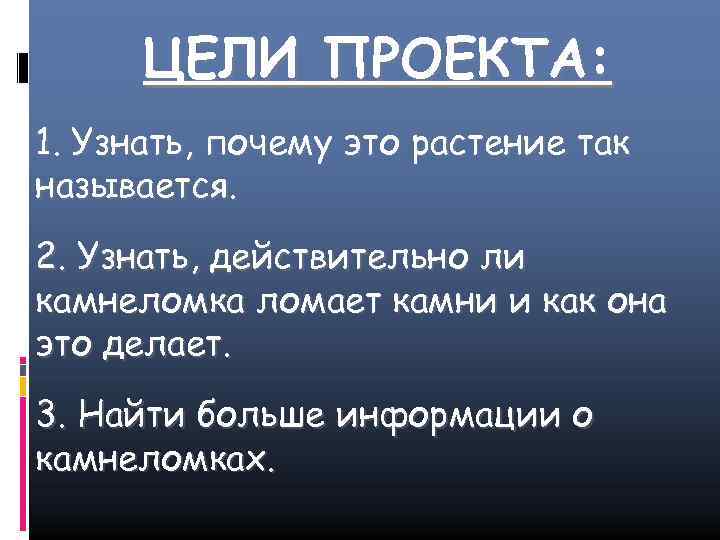 ЦЕЛИ ПРОЕКТА: 1. Узнать, почему это растение так называется. 2. Узнать, действительно ли камнеломка