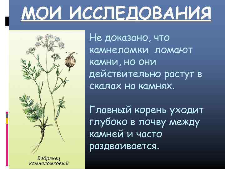 Ушел корень