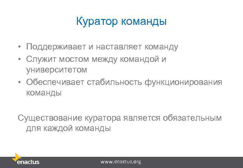 Куратор команды • Поддерживает и наставляет команду • Служит мостом между командой и университетом