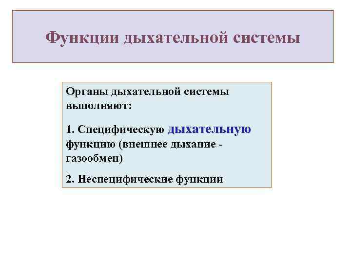 Функции дыхательной системы Органы дыхательной системы выполняют: 1. Специфическую дыхательную функцию (внешнее дыхание газообмен)